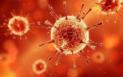 Coronavirus – Krisenmanagement und neue Paradigmen